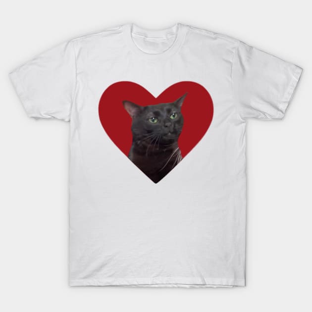 Zoned Out Cat T-Shirt by Smilla